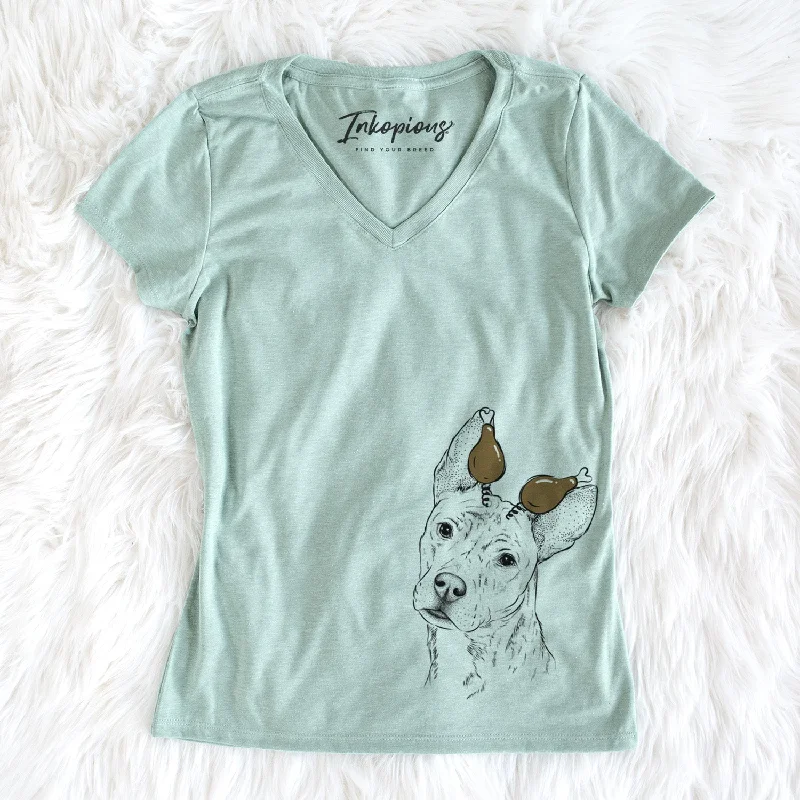 Thanksgiving Diesel the Mixed Breed - Women's Perfect V-neck Shirt-- Houndstooth Herringbone Solid