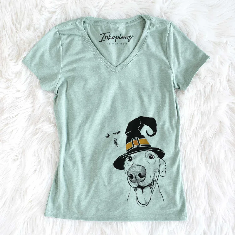 Witch Buddy the Buddy the Sato / American Village Dog - Women's V-neck Shirt-- Houndstooth Herringbone Solid