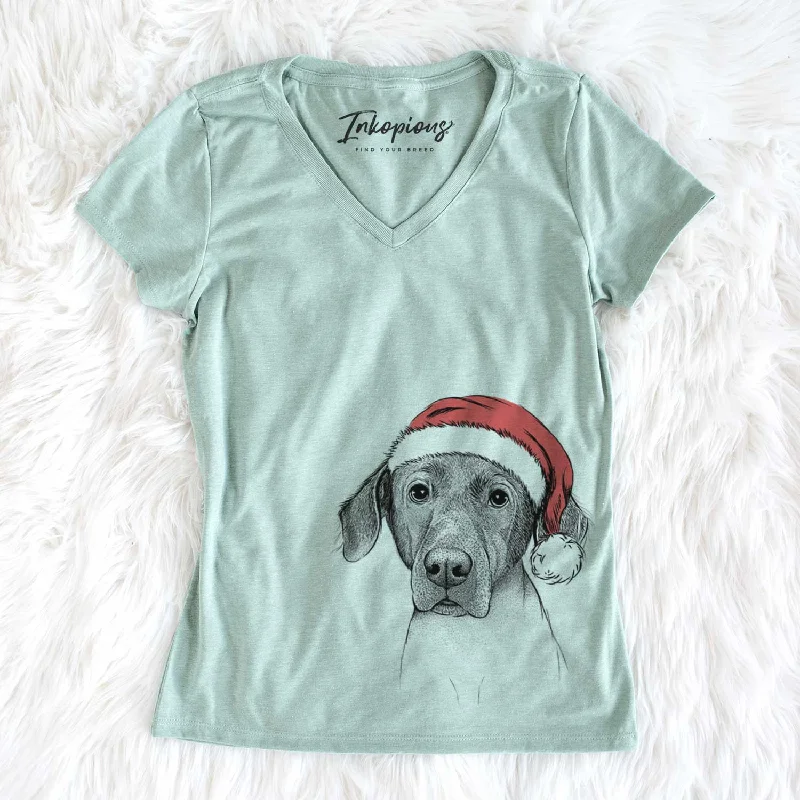 Santa Baldwin the Mixed Breed - Women's V-neck Shirt-- Mesh Fabric Canvas Fabric Denim Fabric