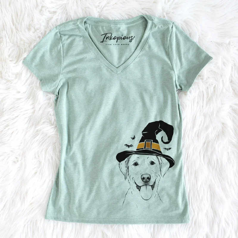 Witch Daisy the Labrador Retriever - Women's Perfect V-neck Shirt-- Striped Floral Plaid