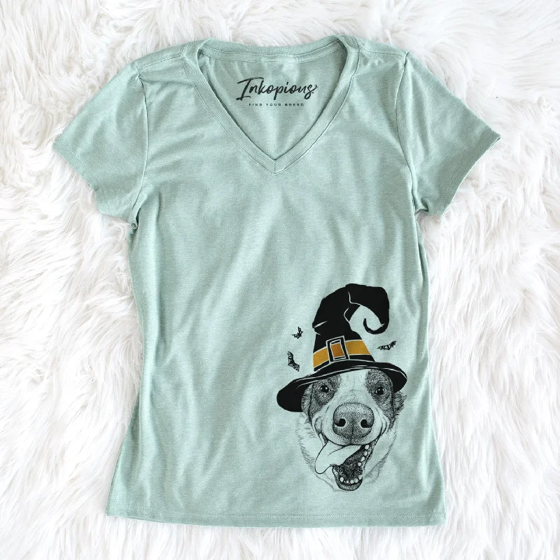 Witch Elwood the Border Collie - Women's Perfect V-neck Shirt-- Chenille Blend Fleece Blend Nylon Blend